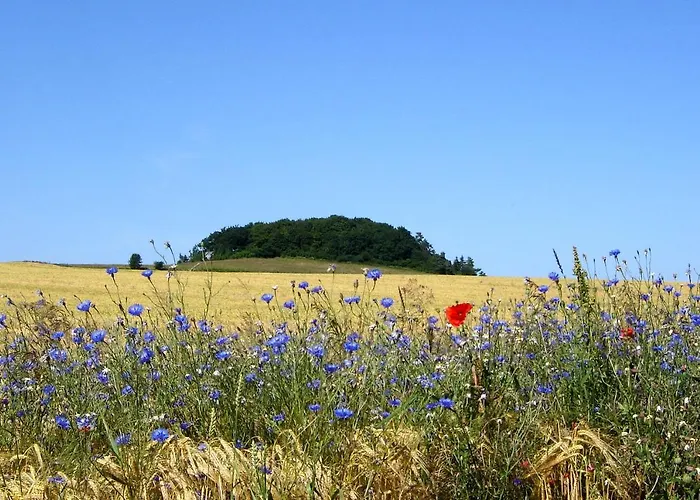 Mit Traumhaftem Meerblick - Haus Am 03 レーメ